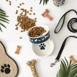 Bone Dry Show Set Dog Bowl -Dog Supplies Shop 313437 PT6. AC SS1800 V1631778084