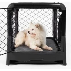 Diggs Revol Collapsible Dog Crate 13 Diggs Revol Collapsible Dog Crate -Dog Supplies Shop 313497 PT5. AC SS1800 V1627352242