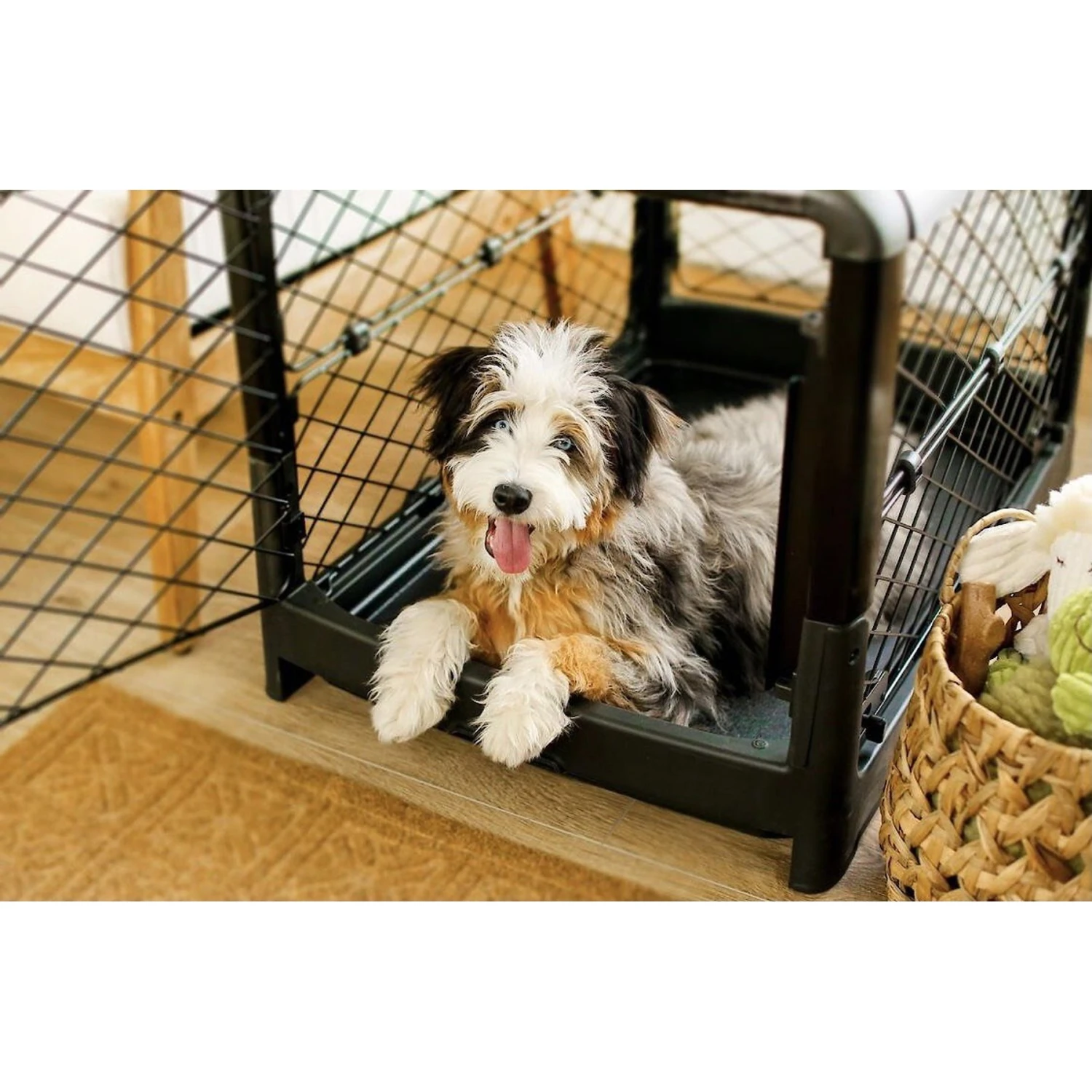 Diggs Revol Collapsible Dog Crate 9 Diggs Revol Collapsible Dog Crate - Image 7