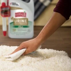 Nature's Miracle Dog Urine Destroyer Plus Enzymatic Formula Stain Remover, 1.3-gal Bottle -Dog Supplies Shop 313852 PT6. AC SS1800 V1625874761