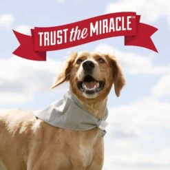 Nature's Miracle Dog Urine Destroyer Plus Enzymatic Formula Stain Remover, 1.3-gal Bottle -Dog Supplies Shop 313852 PT7. AC SS1800 V1625862701