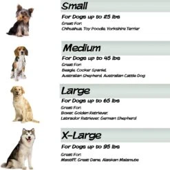 Pet Adobe Memory Foam Orthopedic Bolster Dog Bed With Removable Cover -Dog Supplies Shop 314902 PT4. AC SS1800 V1626397352