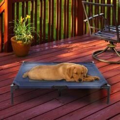 Pet Adobe Steel Frame Elevated Dog Bed -Dog Supplies Shop 314921 PT5. AC SS1800 V1626393704