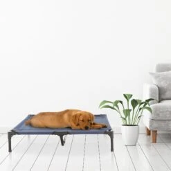 Pet Adobe Steel Frame Elevated Dog Bed -Dog Supplies Shop 314921 PT6. AC SS1800 V1626386800