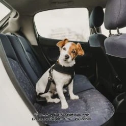 Pet Adobe Folding Dog & Cat Steps -Dog Supplies Shop 314931 PT4. AC SS1800 V1626398830