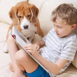 Pet Adobe Carpeted Folding Dog & Cat Steps -Dog Supplies Shop 314936 PT4. AC SS1800 V1626397907