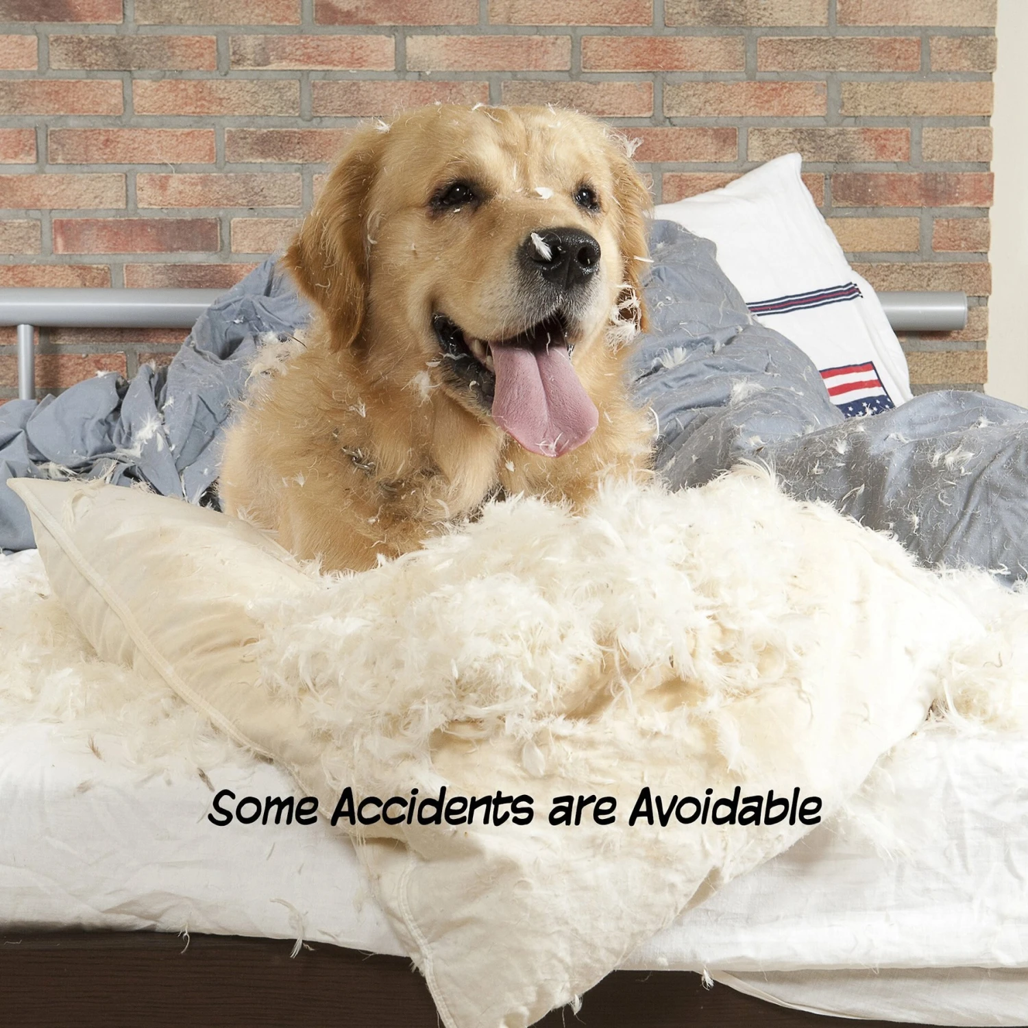 Pet Adobe 4-Panel Freestanding Dog & Cat Gate 6 Pet Adobe 4-Panel Freestanding Dog & Cat Gate - Image 4