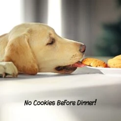 Pet Adobe 3-Panel Freestanding Folding Dog & Cat Gate -Dog Supplies Shop 314950 PT4. AC SS1800 V1626393970