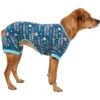 Frisco Celebration Dog & Cat PJs -Dog Supplies Shop 315105 MAIN. AC SS1800 V1646442148