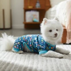 Frisco Celebration Dog & Cat PJs -Dog Supplies Shop 315105 PT8. AC SS1800 V1646437758