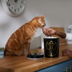 STAR WARS Melamine Dog & Cat Treat Jar 11 STAR WARS Melamine Dog & Cat Treat Jar -Dog Supplies Shop 315276 PT3. AC SS1800 V1647281986