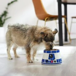 STAR WARS R2-D2 Elevated Melamine Stainless Steel Dog & Cat Bowl, 1.5 Cup -Dog Supplies Shop 315278 PT2. AC SS1800 V1647281494