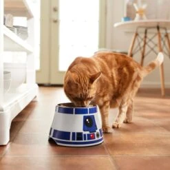 STAR WARS R2-D2 Elevated Melamine Stainless Steel Dog & Cat Bowl, 1.5 Cup -Dog Supplies Shop 315278 PT3. AC SS1800 V1647283296