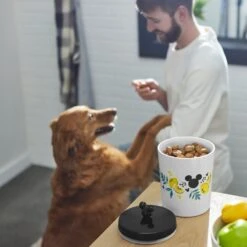 Disney Mickey Mouse Lemon Melamine Dog & Cat Treat Jar -Dog Supplies Shop 315302 PT2. AC SS1800 V1647282011