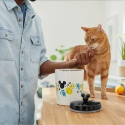 Disney Mickey Mouse Lemon Melamine Dog & Cat Treat Jar -Dog Supplies Shop 315302 PT3. AC SS1800 V1647283698