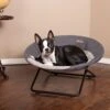 K&H Pet Products Cozy Cot Elevated Dog Bed 2 K&H Pet Products Cozy Cot Elevated Dog Bed -Dog Supplies Shop 316703 MAIN. AC SS1800 V1696351195