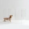 Hiddin Clear View Zig Zag Freestanding Dog & Cat Gate -Dog Supplies Shop 316831 MAIN. AC SS1800 V1633370780