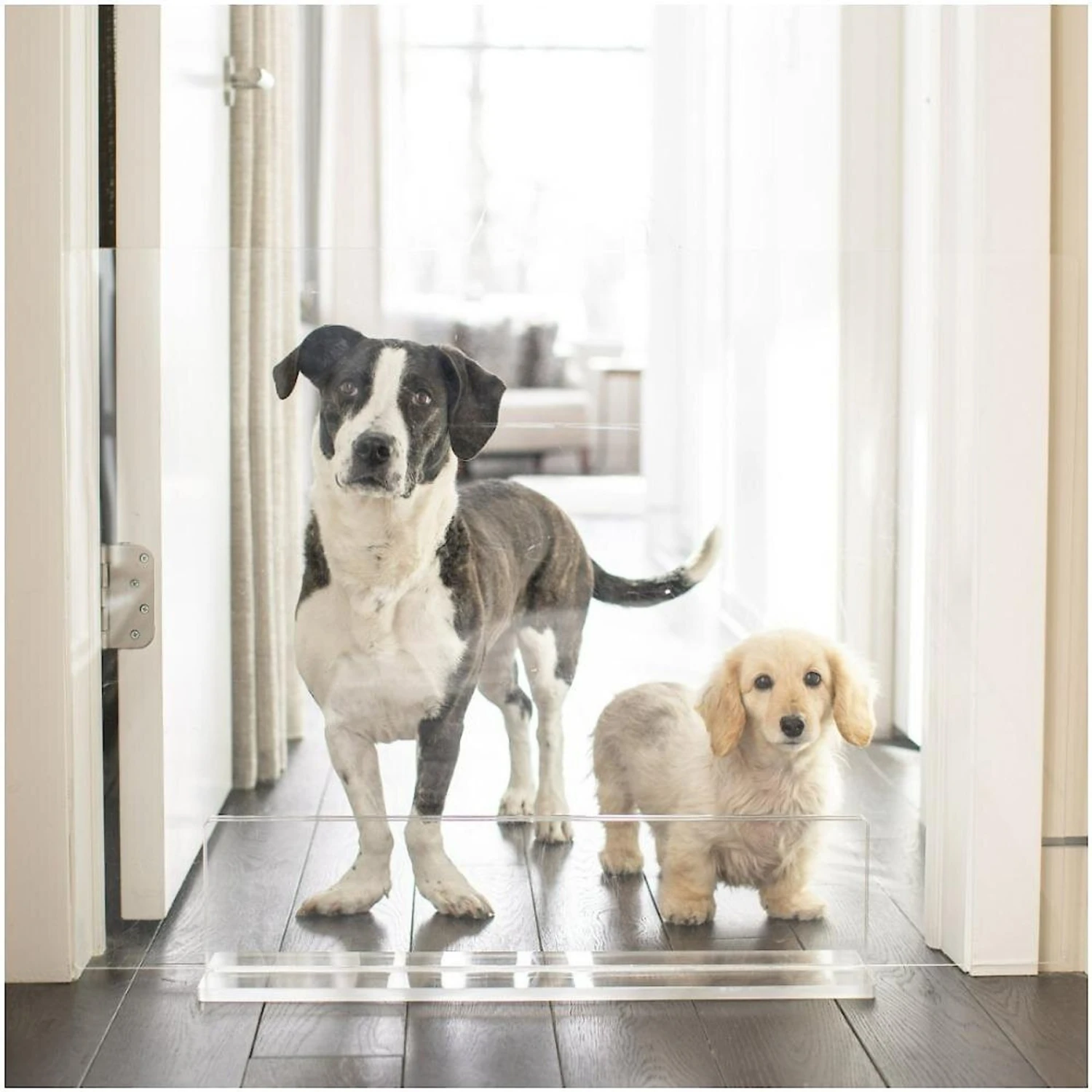 Hiddin Clear View Panel Freestanding Dog Gate 5 Hiddin Clear View Panel Freestanding Dog Gate - Image 3
