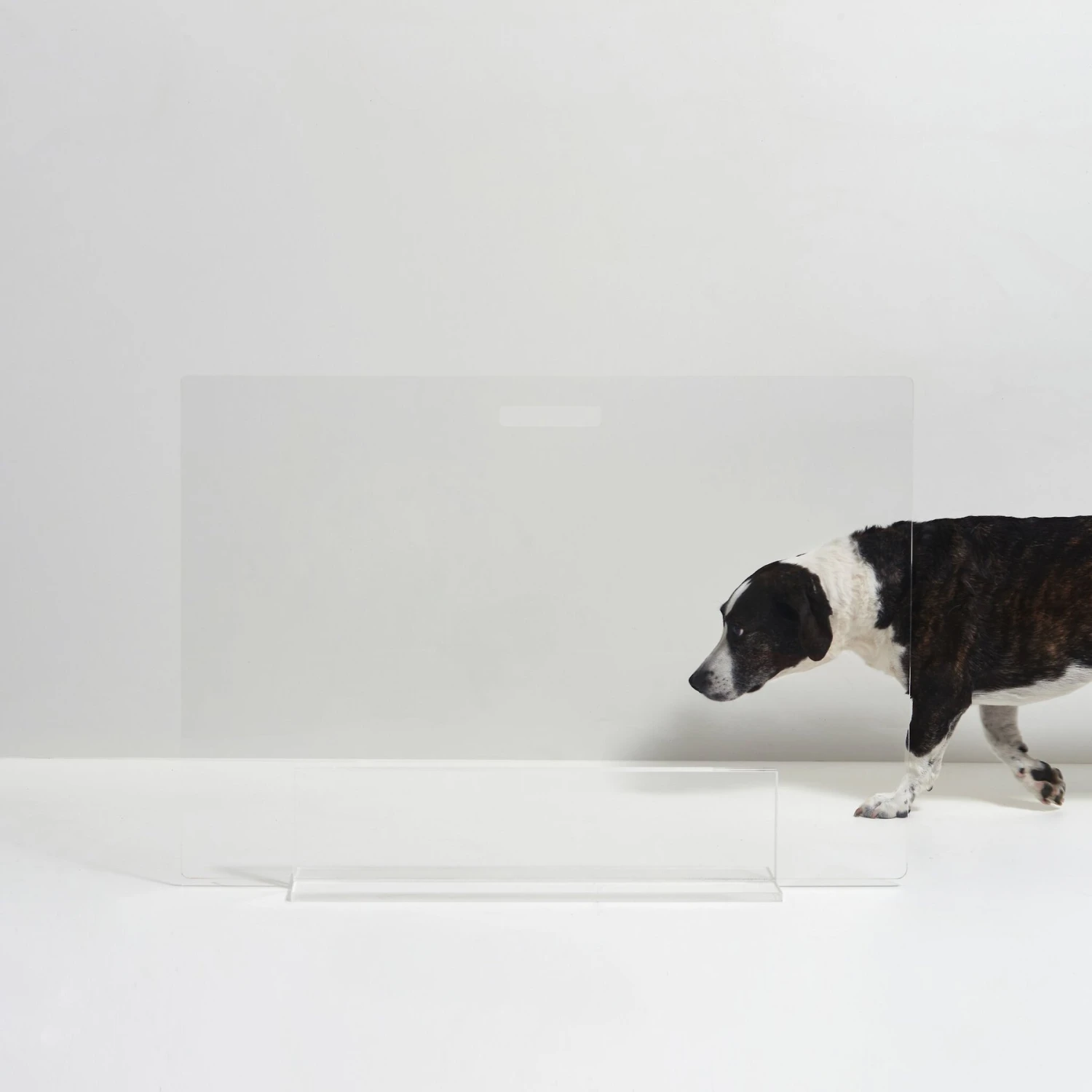 Hiddin Clear View Panel Freestanding Dog Gate 7 Hiddin Clear View Panel Freestanding Dog Gate - Image 5