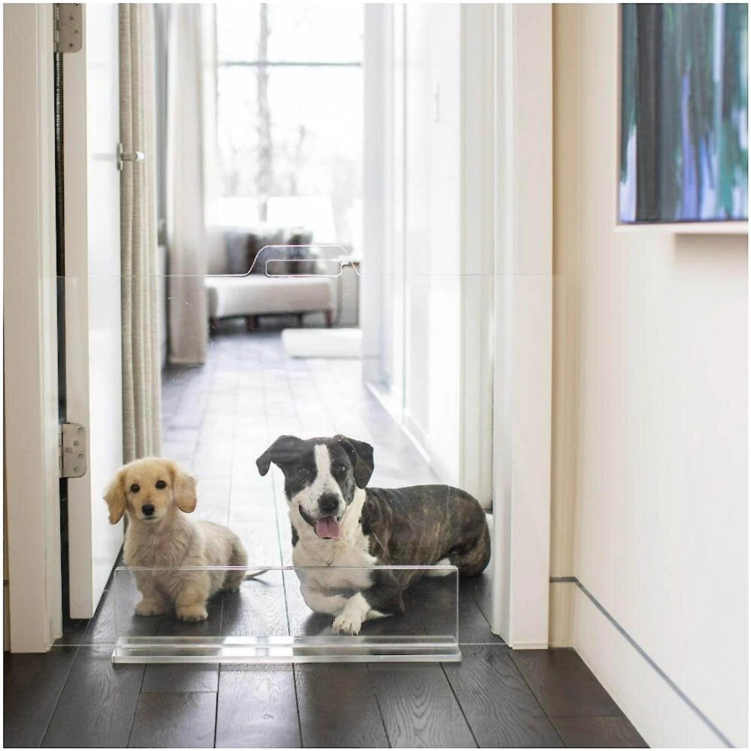 Hiddin Clear View Panel Freestanding Dog Gate 9 Hiddin Clear View Panel Freestanding Dog Gate - Image 7