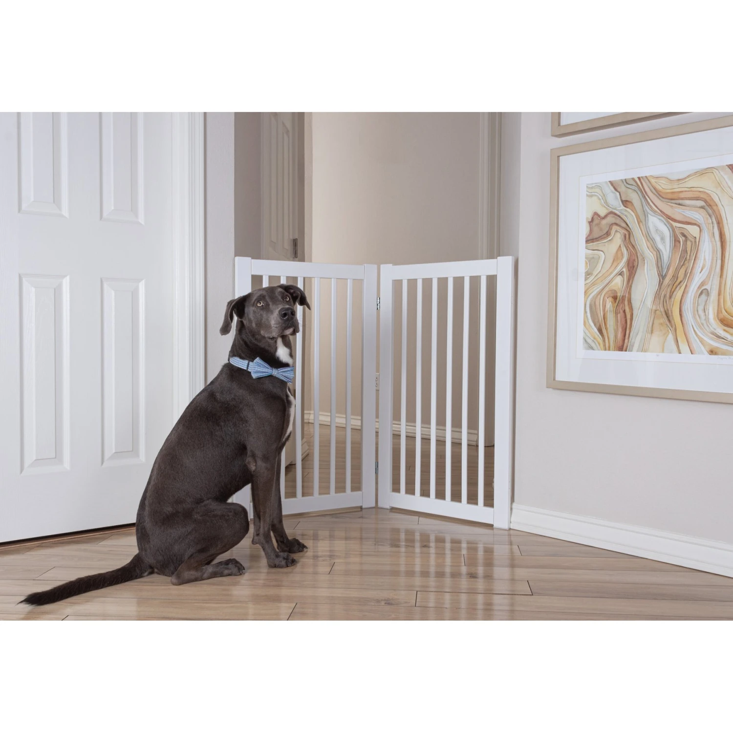 Primetime Petz 360 Configurable Gate Extension Kit, White 8 Primetime Petz 360 Configurable Gate Extension Kit, White - Image 6