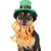 Wagatude Green Bearded Glitter Belt Dog Hat -Dog Supplies Shop 318045 MAIN. AC SS1800 V1637107322
