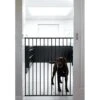 Scandinavian Pet Streamline Extra Tall Wall Mounted Dog Gate -Dog Supplies Shop 318466 MAIN. AC SS1800 V1630710690