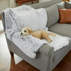 Frisco Sofa Pet Bed With Removable Cover & Frisco Eyelash Cat & Dog Blanket -Dog Supplies Shop 319504 PT8. AC SS1800 V1630629098