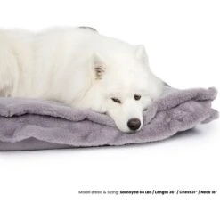 Nandog Cloud Collection Pillow Dog Bed -Dog Supplies Shop 321794 PT2. AC SS1800 V1683313180