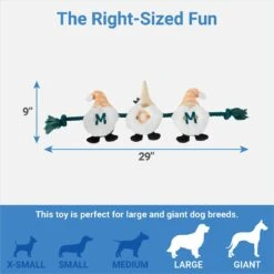 Frisco Mother's Day Gnomes Plush With Rope Squeaky Dog Toy 6 Frisco Mother's Day Gnomes Plush With Rope Squeaky Dog Toy -Dog Supplies Shop 327037 PT1. AC SS1800 V1647618088