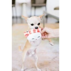 Pearhead Sushi Bento Dog Toys, 3 Count -Dog Supplies Shop 327073 PT2. AC SS1800 V1633474355