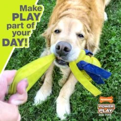 Nylabone Power Play Dog Baseball Gripz Dog Toy 14 Nylabone Power Play Dog Baseball Gripz Dog Toy -Dog Supplies Shop 329493 PT3. AC SS1800 V1685647812