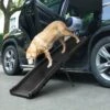 Coziwow By Jaxpety Foldable Dog Car Ramp -Dog Supplies Shop 330948 MAIN. AC SS1800 V1632319617