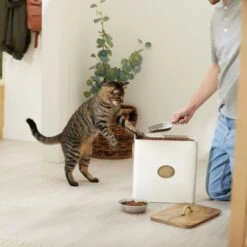 Frisco Premium Airtight Dog & Cat Food Storage Canister With Scoop 10 Frisco Premium Airtight Dog & Cat Food Storage Canister With Scoop -Dog Supplies Shop 331486 PT3. AC SS1800 V1657656891