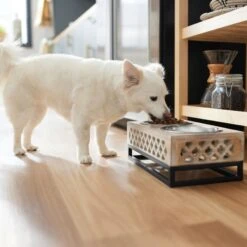Frisco Premium Wood Elevated Stainless Steel Double Diner Dog & Cat Bowl, 3 Cup 9 Frisco Premium Wood Elevated Stainless Steel Double Diner Dog & Cat Bowl, 3 Cup -Dog Supplies Shop 331507 PT2. AC SS1800 V1657656894