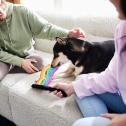 Frisco Pride Flag Flat Squeaky Dog Toy -Dog Supplies Shop 331640 PT3. AC SS1800 V1647355852