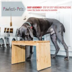 Pawfect Pets Elevated Feeder Raised Dog Bowl Stand With Four Stainless Steel Bowls, Large, 12-in -Dog Supplies Shop 333590 PT1. AC SS1800 V1634085719