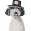 Frisco Day Of The Dead Dog & Cat Hat -Dog Supplies Shop 334497 MAIN. AC SS1800 V1658368685