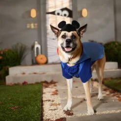 Disney Mickey Mouse Vampire Dog & Cat Costume -Dog Supplies Shop 334733 PT8. AC SS1800 V1657656877