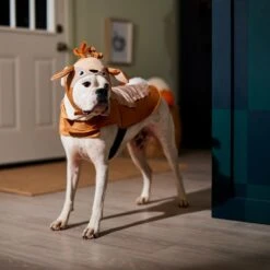 Frisco Deer Dog & Cat Costume -Dog Supplies Shop 334874 PT7. AC SS1800 V1657720507