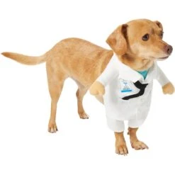 Frisco Front Walking Doctor Dog & Cat Costume -Dog Supplies Shop 334900 PT3. AC SS1800 V1658344549