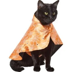 Frisco Spider Webbed Dog & Cat Costume Cape -Dog Supplies Shop 334972 PT2. AC SS1800 V1658348259