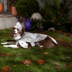 Frisco Seal Dog & Cat Costume -Dog Supplies Shop 334983 PT7. AC SS1800 V1657730462