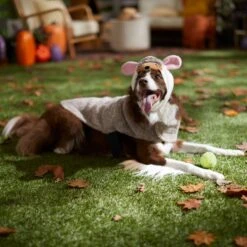 Frisco Hedgehog Dog & Cat Costume -Dog Supplies Shop 334990 PT7. AC SS1800 V1657732628