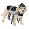 Frisco Spider Dog & Cat Costume -Dog Supplies Shop 335017 MAIN. AC SS1800 V1658718137