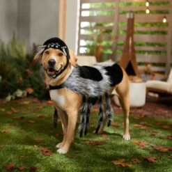 Frisco Spider Dog & Cat Costume 14 Frisco Spider Dog & Cat Costume -Dog Supplies Shop 335017 PT7. AC SS1800 V1657834853