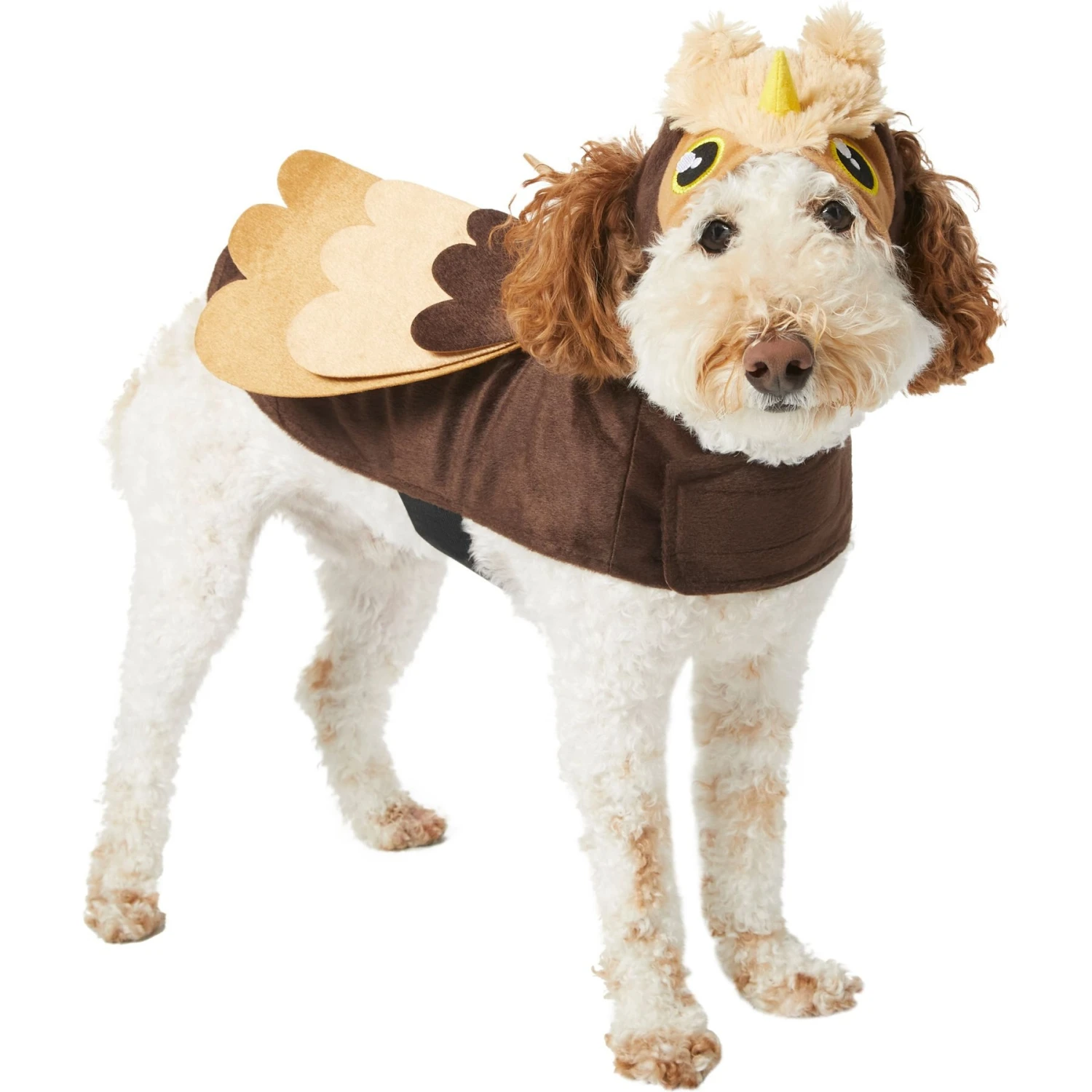 Frisco Owl Dog & Cat Costume 3 Frisco Owl Dog & Cat Costume
