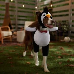Frisco Front Walking Penguin Dog & Cat Costume 16 Frisco Front Walking Penguin Dog & Cat Costume -Dog Supplies Shop 335062 PT7. AC SS1800 V1657718971