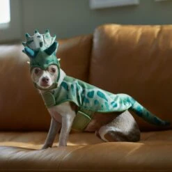 Frisco Triceratops Dog & Cat Costume 16 Frisco Triceratops Dog & Cat Costume -Dog Supplies Shop 335093 PT7. AC SS1800 V1657659565