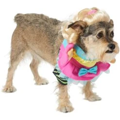 Frisco Front Walking Workout Girl Dog & Cat Costume -Dog Supplies Shop 335111 PT3. AC SS1800 V1659027675